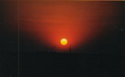 The sunburnt country 