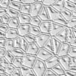 cell~plans.jpg (5619 bytes)