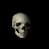 skullani.gif (40181 bytes)