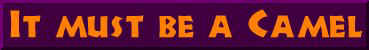 cameltitle.jpg (5512 bytes)