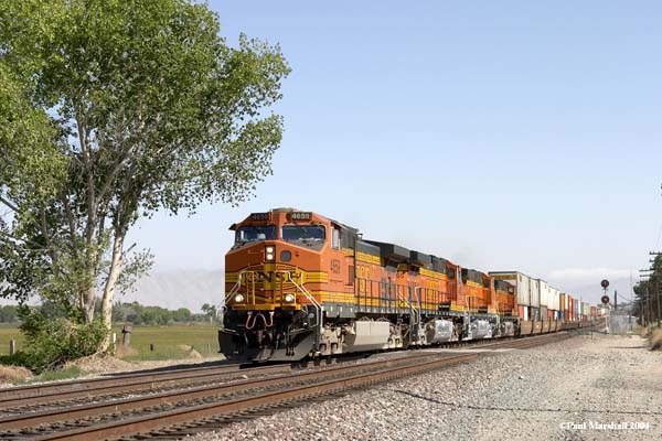 BNSF #4659 + #4465 at Frost - May 2004