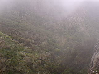 The Drizzles in La Gomera