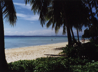 Beach - Koh Phi Phi (Th).jpg (143144 bytes)