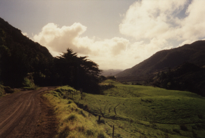 Gorge Road - Opononi (NZ).jpg (57295 bytes)