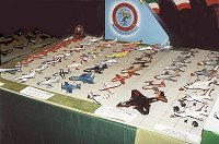 Models (left)