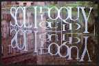 Glass Soliloquy