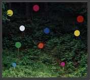 Spots