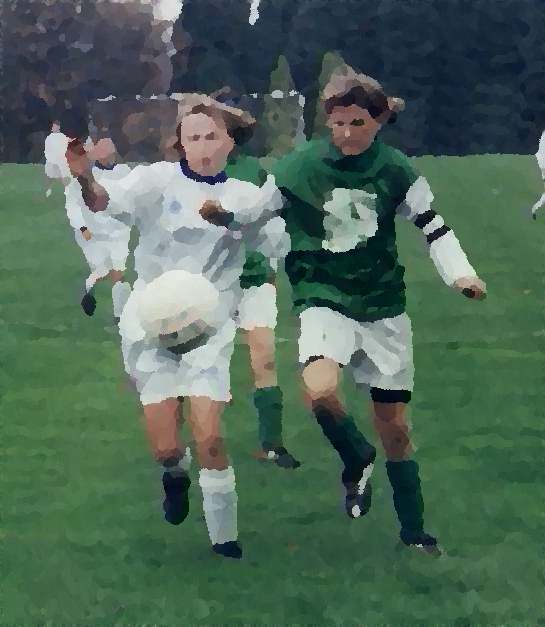 Tussle