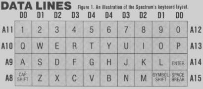 Keyboard data lines