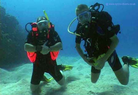 Steve-&-Ash-Cayamsa