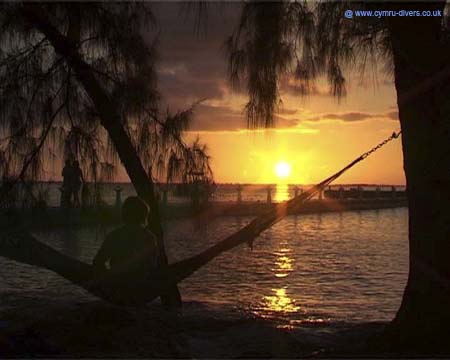 Sunset Caymans