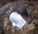 Sponge4