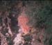 Sponge5