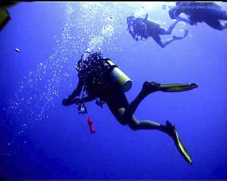 Divers Maldives03 copy
