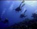 Divers Maldives copy