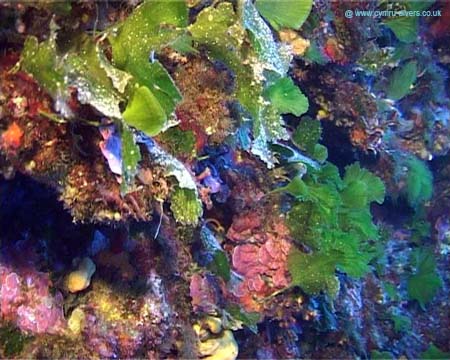 Malta2006(16)