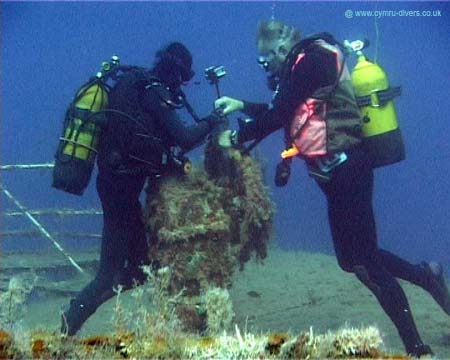 Malta2006(58)