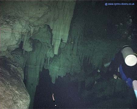 Cenotes15