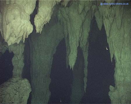 Cenotes17
