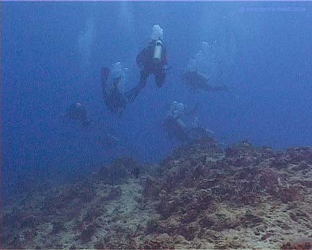 Cozumel10 copy