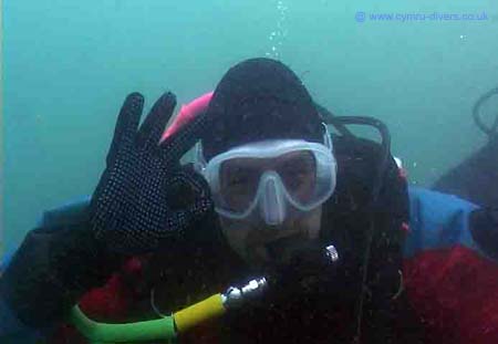 Diver