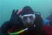 Diver