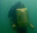 Inspo Diver