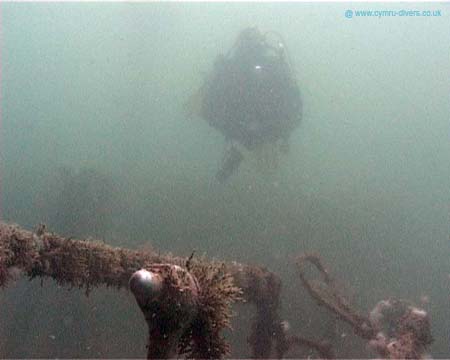 Diver1