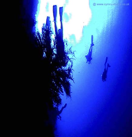 Brothers Divers 02