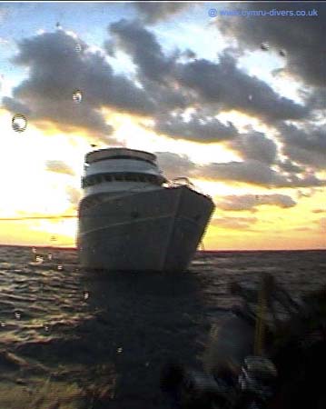 Early Morning Dive