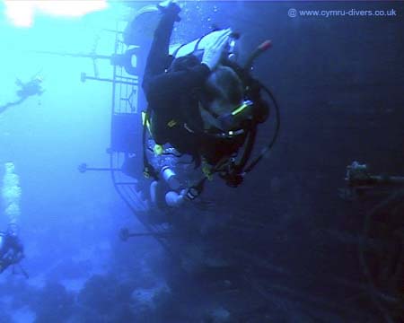 Scuba Shark