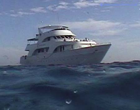Sea Serpent04