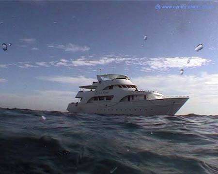 Sea`Serpent Red Sea 02