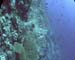 Brolthers Red Sea 03