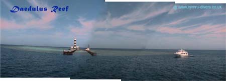 Daedulus Reef