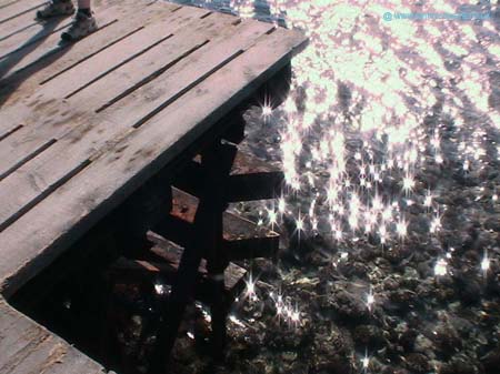 Picture 024