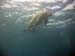 Dennis05