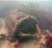 Lobster Pot