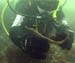 Pipefish2