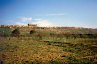 The Valle dei Templi from the Temple of Asclepius