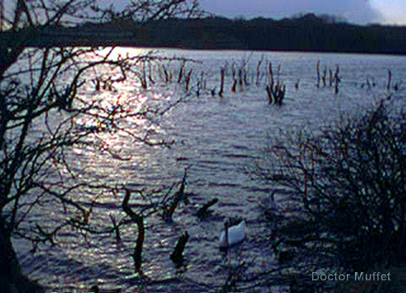 Hodbarrow Lagoon at Night