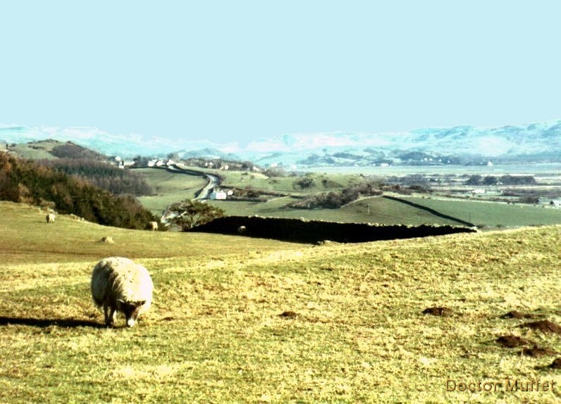 Lowscales looking North East towards The Hill