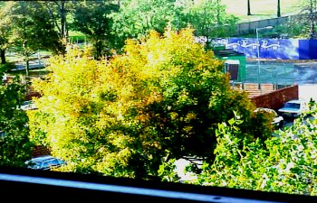 Autumn