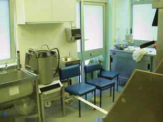 The New Kitchen (1)