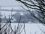 Village in the snow