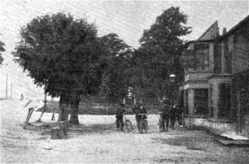 The White Lion at Locks Bottom