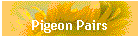 Pigeon Pairs