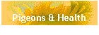 Pigeons & Health