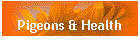 Pigeons & Health