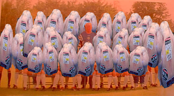 NO 5 Team photos of the chickens from kiev